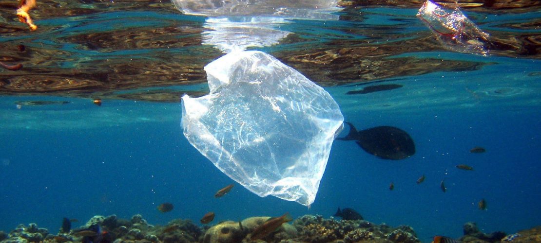 Den Ozeanen geht es schlecht