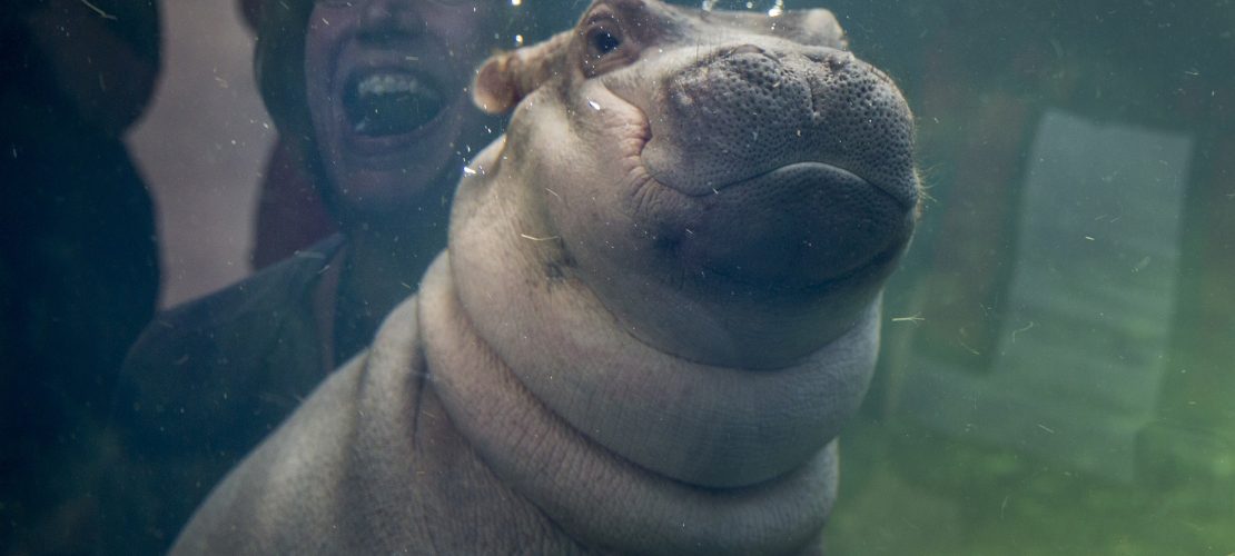 Fiona wird rund, zum Glück!