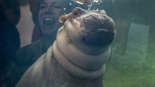 Fiona wird rund, zum Glück!