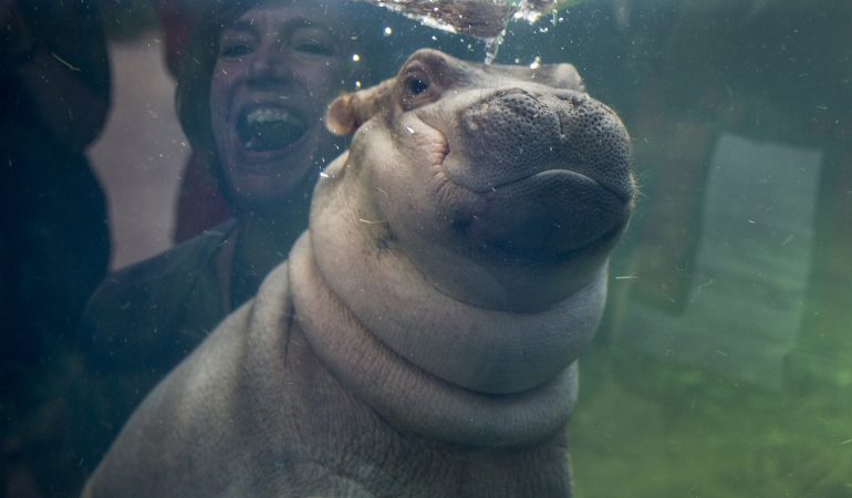 Fiona wird rund, zum Glück!