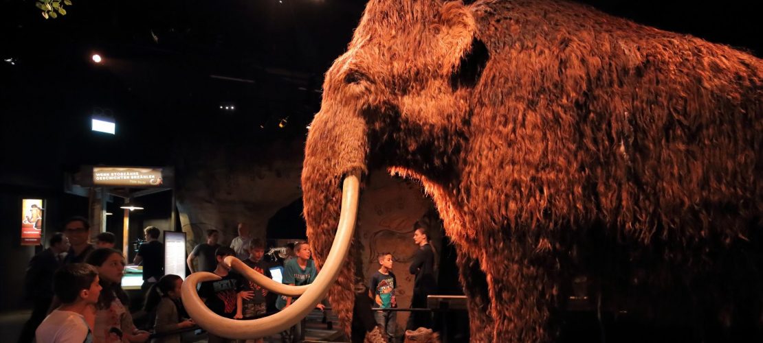 Raus hier: Folge dem Mammut!