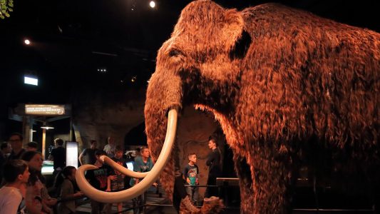 Raus hier: Ice Age – so war’s wirklich