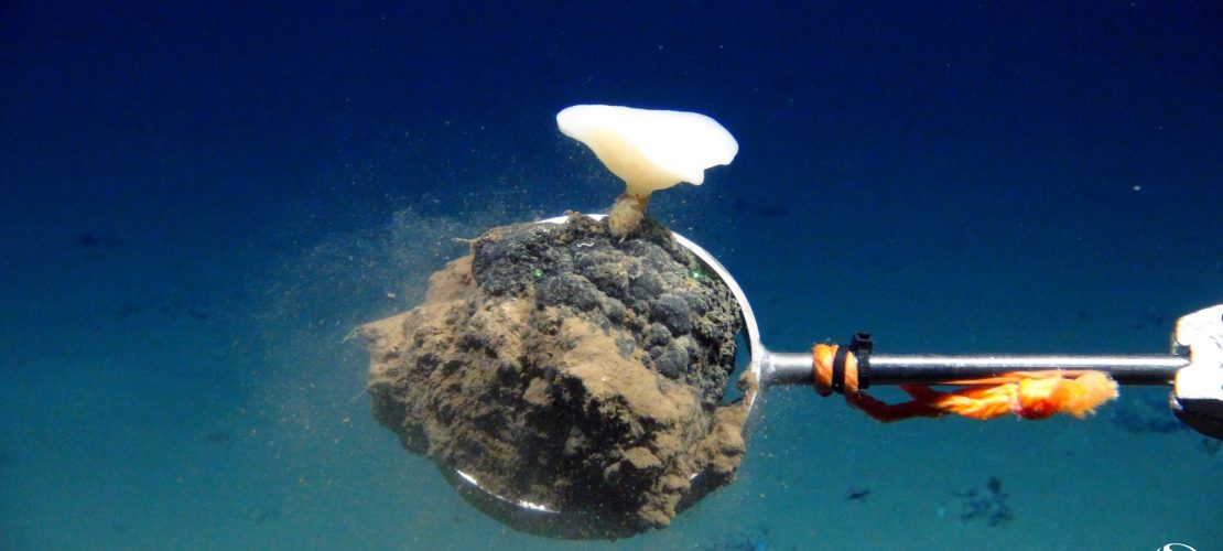 Metalle im Meer abbauen?