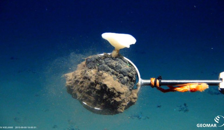 Metalle im Meer abbauen?