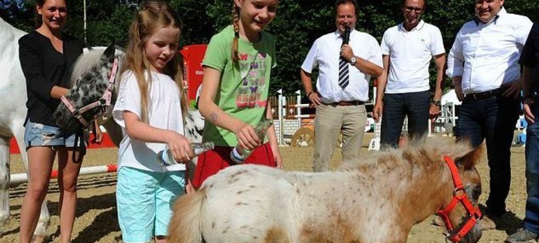 Erfinderinnen taufen unser Fohlen Mimi