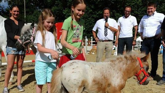 Erfinderinnen taufen unser Fohlen Mimi