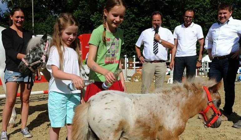 Erfinderinnen taufen unser Fohlen Mimi