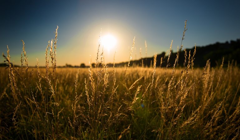 Heute ist der längste Tag des Jahres