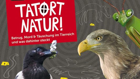 Buchtipp: Tiere als Verbrecher