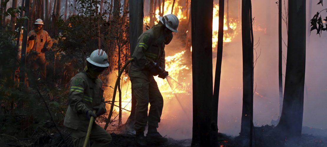 Riesen-Waldbrand in Portugal