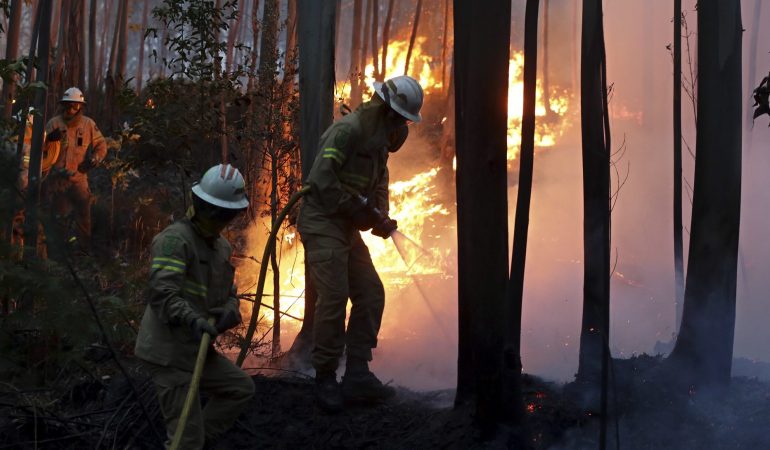 Riesen-Waldbrand in Portugal
