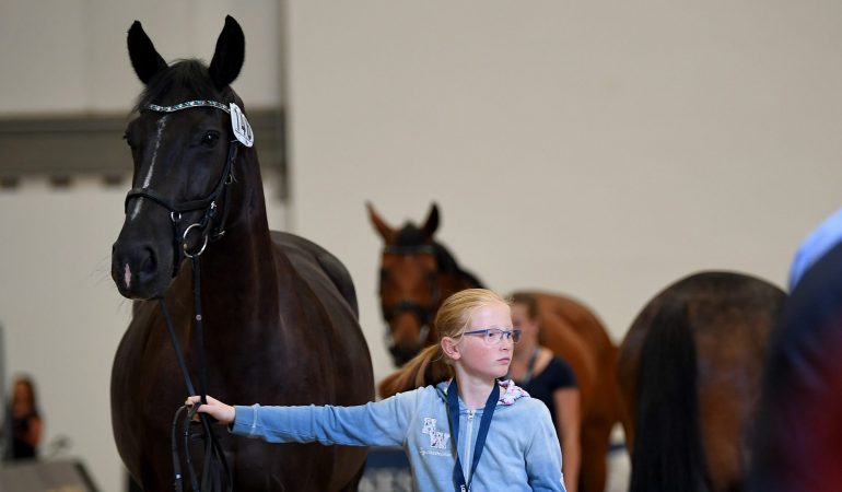 Junge Reiterin unter Stars