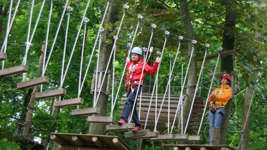 Kletterwälder in der Region