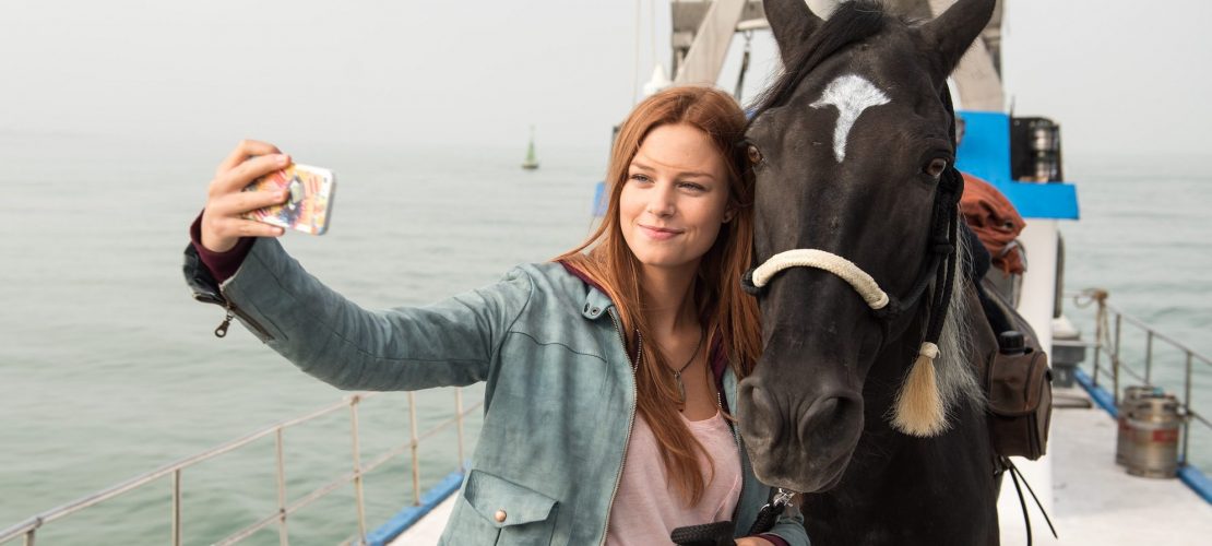 Wie trainiert man Pferde für den Film?