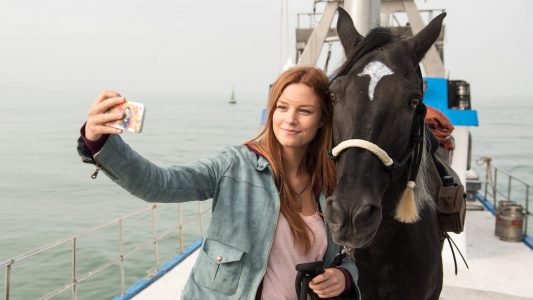 Wie trainiert man Pferde für den Film?