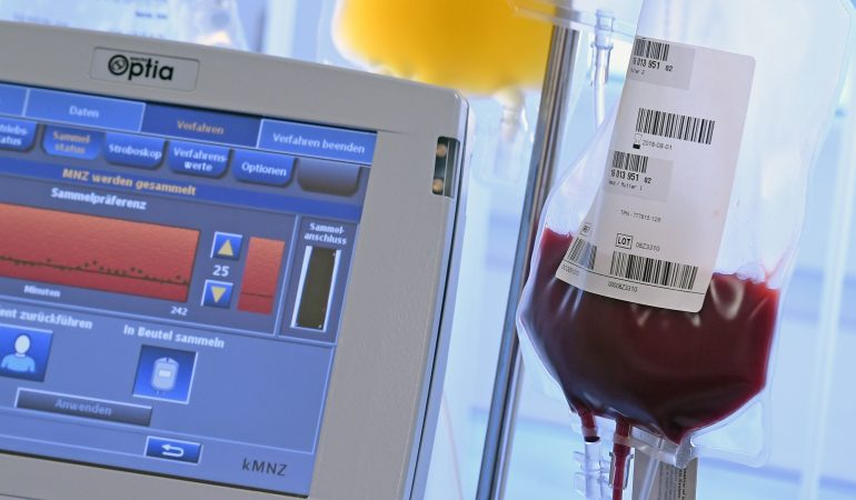 Warum sind Stammzellen besonders?