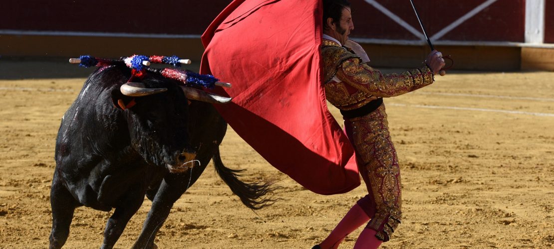 Bei Stierkämpfen darf kein Blut mehr fließen