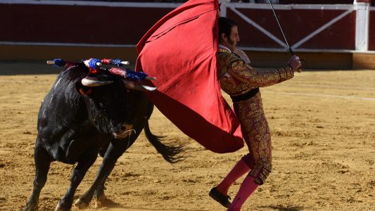 Bei Stierkämpfen darf kein Blut mehr fließen