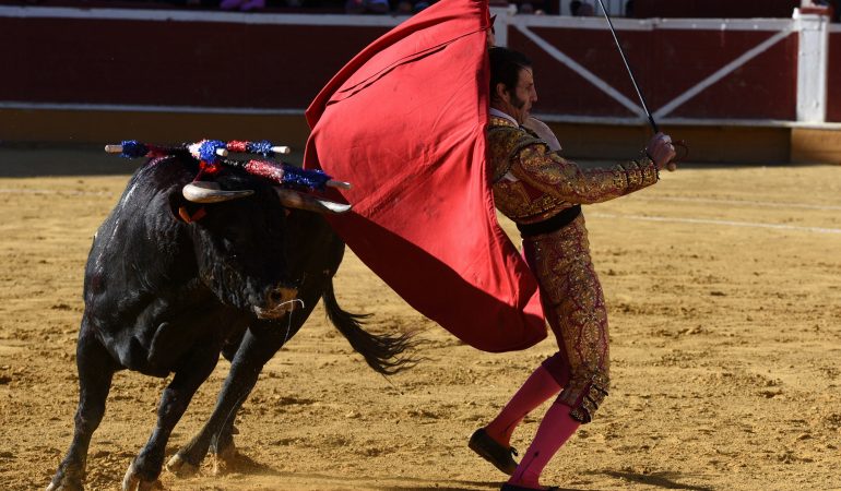 Bei Stierkämpfen darf kein Blut mehr fließen