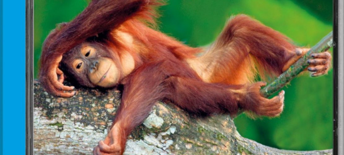 Buch-Tipp: Superschlaue Tiere
