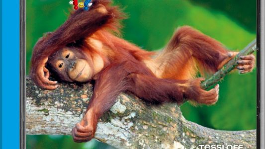 Buch-Tipp: Superschlaue Tiere