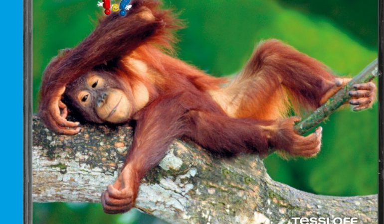 Buch-Tipp: Superschlaue Tiere