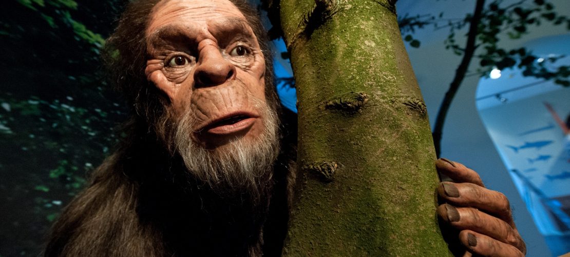 Gibt es den Yeti, Bigfoot und Nessie wirklich?
