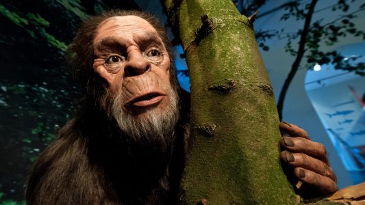 Gibt es den Yeti, Bigfoot und Nessie wirklich?