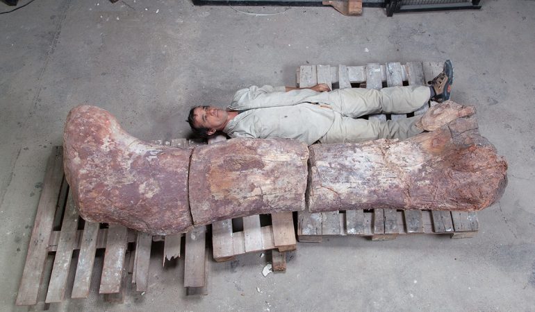 Welcher war der größte Dinosaurier?