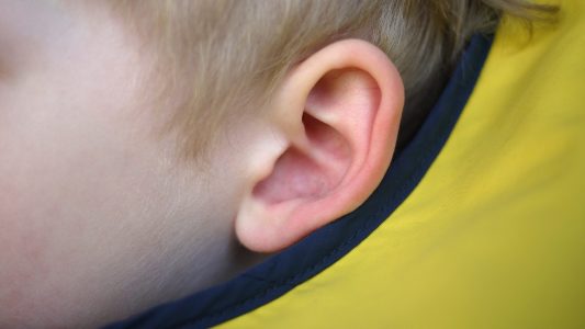 Klicktipp: Errätst du das Geräusch?