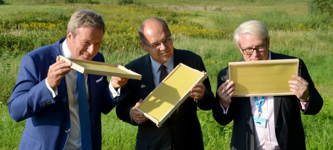 Bienen helfen beim Bio-Check