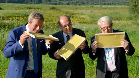 Bienen helfen beim Bio-Check