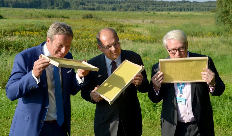 Bienen helfen beim Bio-Check