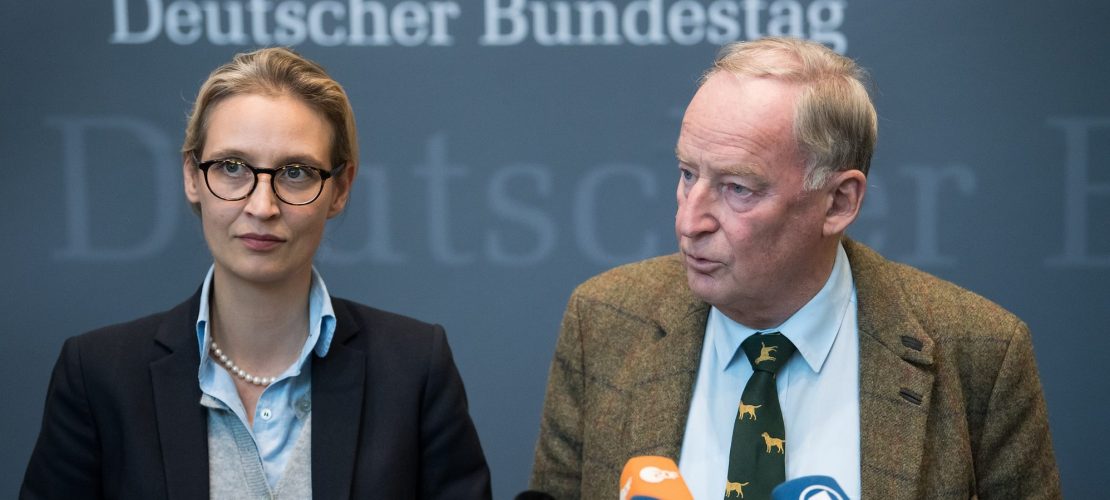 Warum gibt es Streit um die AfD?
