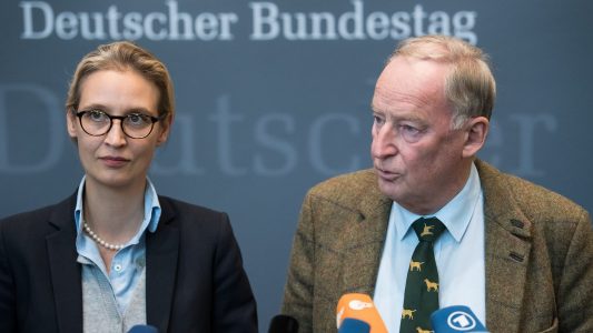 Warum gibt es Streit um die AfD?
