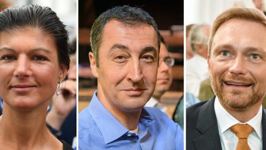 Was wollen FDP, Grüne, Linke, AfD?