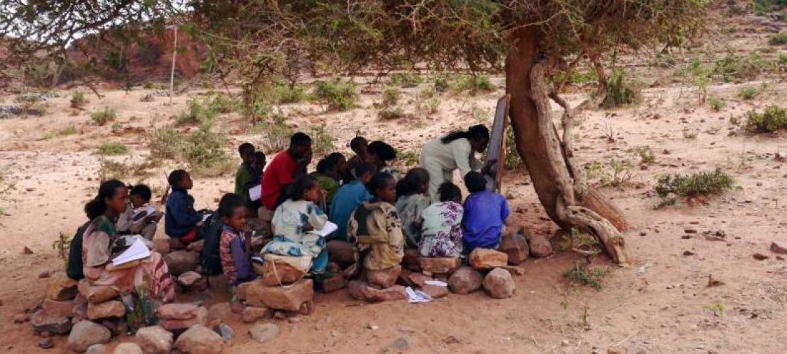 Baumschule statt Klassenzimmer