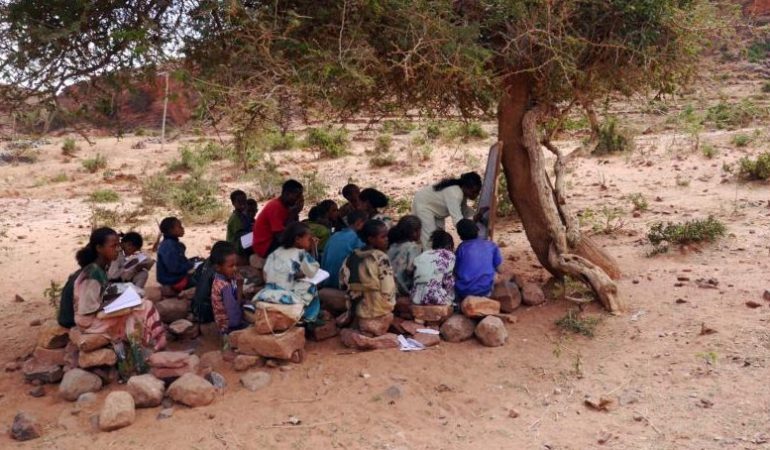 Baumschule statt Klassenzimmer