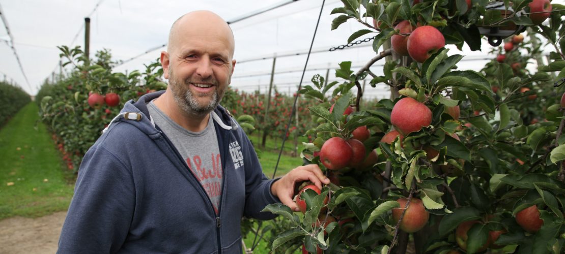 So werden Äpfel angebaut
