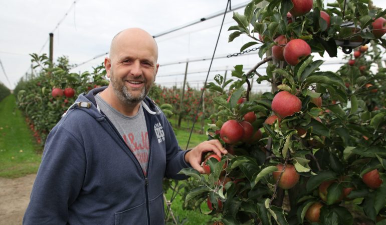 So werden Äpfel angebaut