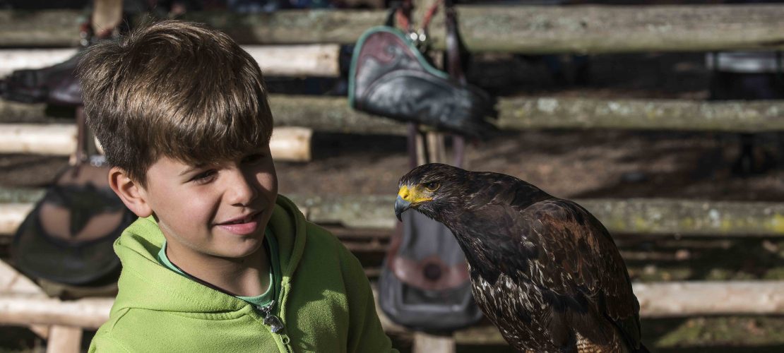 Raus hier: Jagen und gruseln!