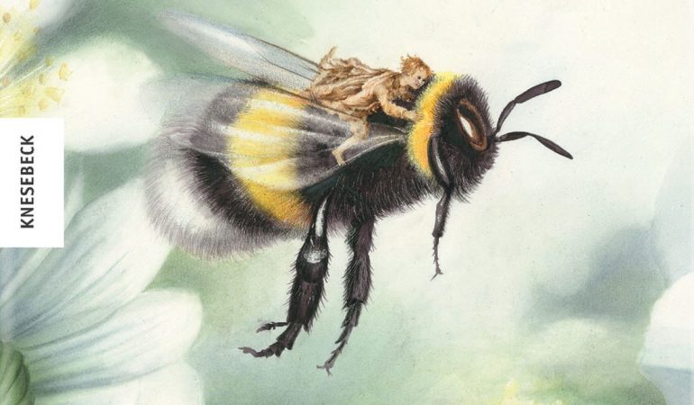 Buch-Tipp: Ein Elf kämpft!