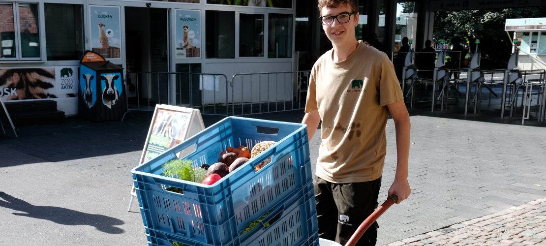 Wie wird man Tierpfleger?