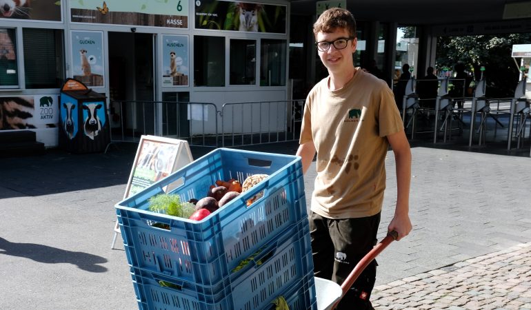 Wie wird man Tierpfleger?
