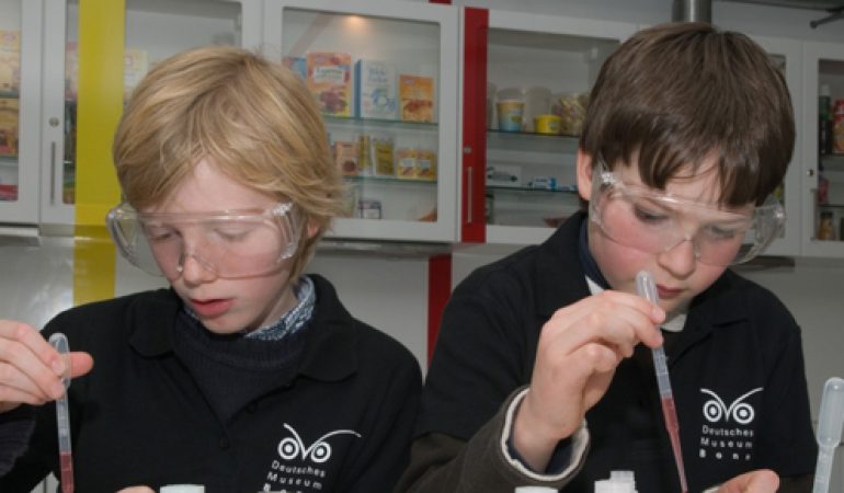 Raus hier: St. Martin, Experimente und Anpacken im Kinderwald