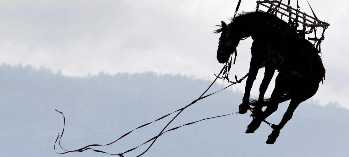 Pferd fliegt durch die Luft