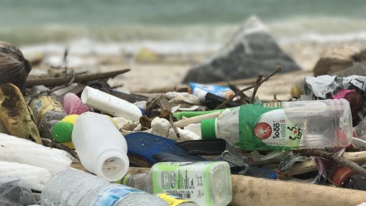 Ideen gegen Müll gesucht