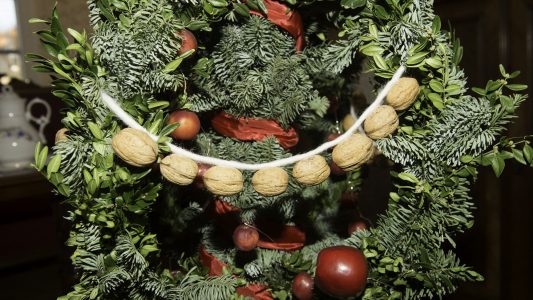 Was ist ein Bügelbaum?