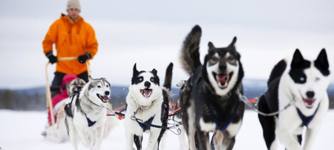 Großer Feiertag für Finnland