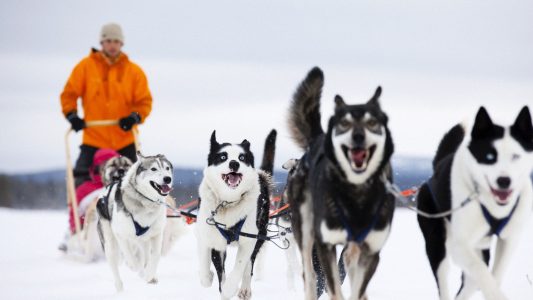 Großer Feiertag für Finnland
